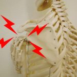 心臓が原因の左の五十肩、肩の痛みを改善するためのセルフケア…船橋市のオステオパシー整体