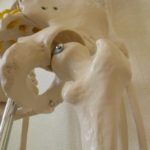 股関節痛に頸椎が関係しているかご自分で確認する方法・・・船橋市のオステオパシー整体