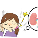 腎臓と耳鳴りの関係…船橋市のオステオパシー整体