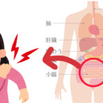 小腸と五十肩の関係…千葉県船橋市のオステオパシー整体