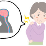 更年期に多い肩の痛みと自律神経の関係…千葉県船橋市のオステオパシー整体